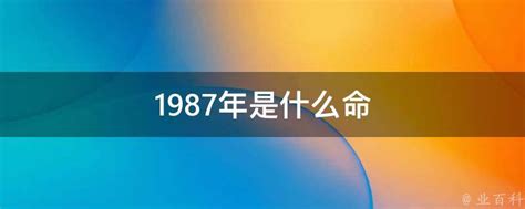 1987年什么命